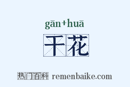干花是什么意思的图片